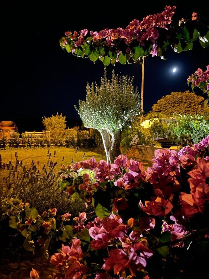 טוראני Apartments Villa Oliva מראה חיצוני תמונה